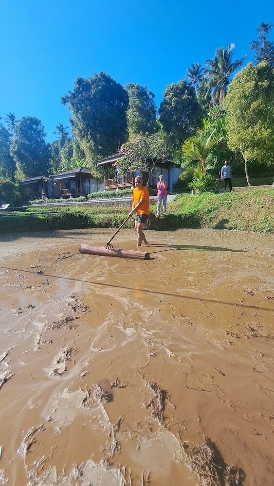 Фото Bali De Pardis Cottage