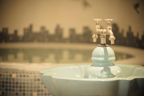 Фото Hotel Primula