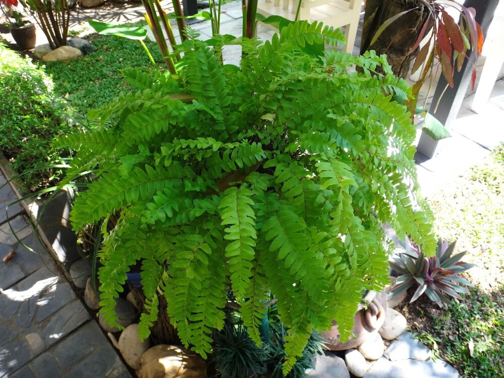 Фото Stay With Me Guesthouse