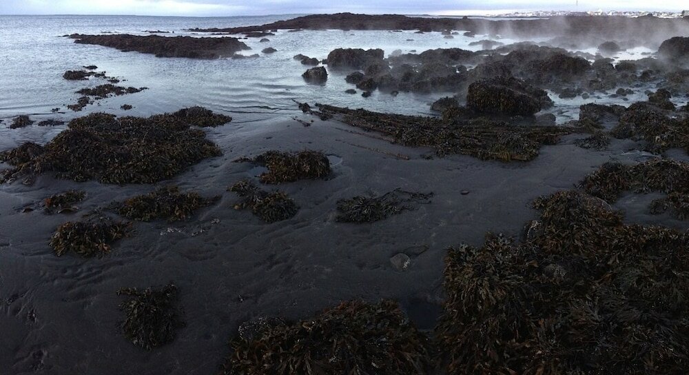 Фото Studio Aurora