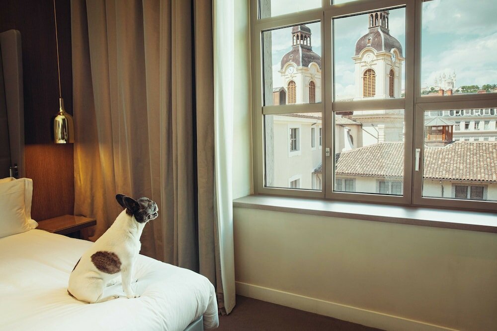 Фото InterContinental Lyon Hotel Dieu