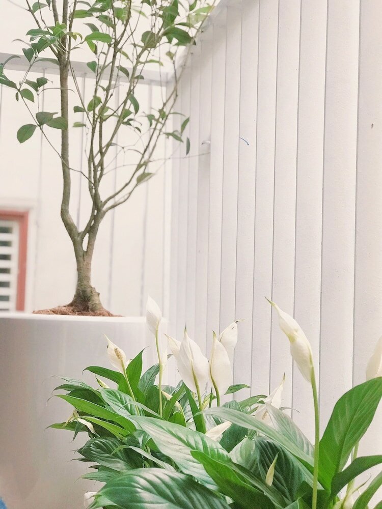 Фото Esme Homestay - Hostel