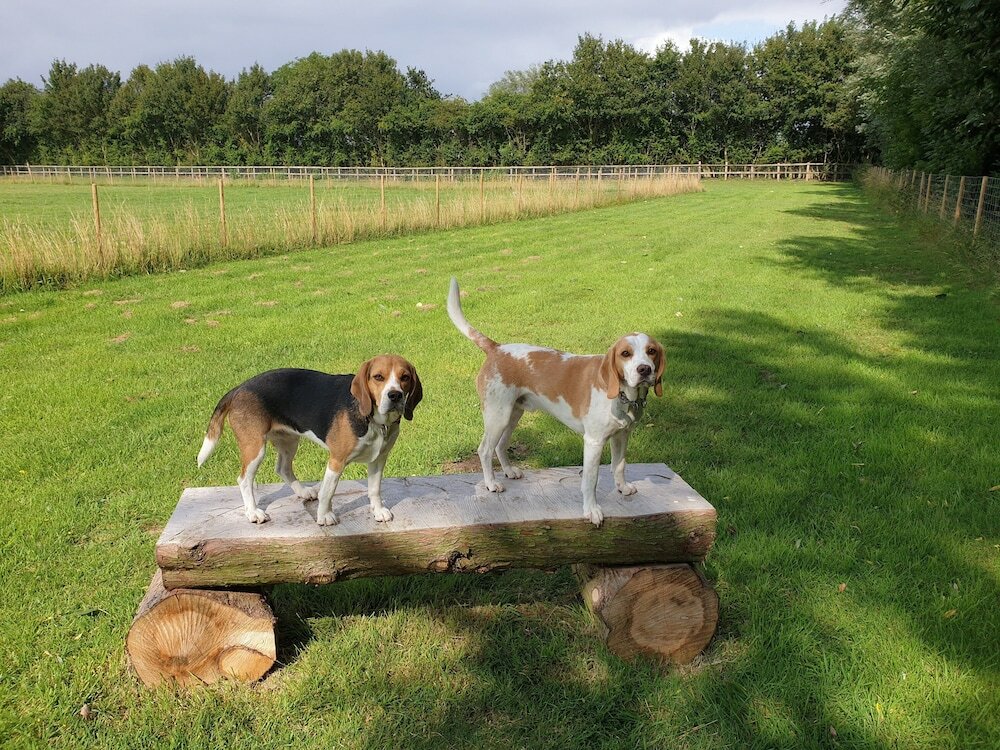 Фото Wingfield Escapes