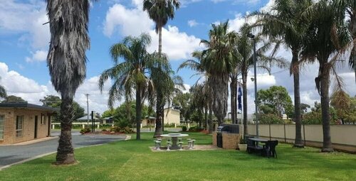 Гостиница Temora Motel в Теморе