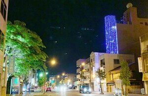 Гостиница Petit Hotel 017