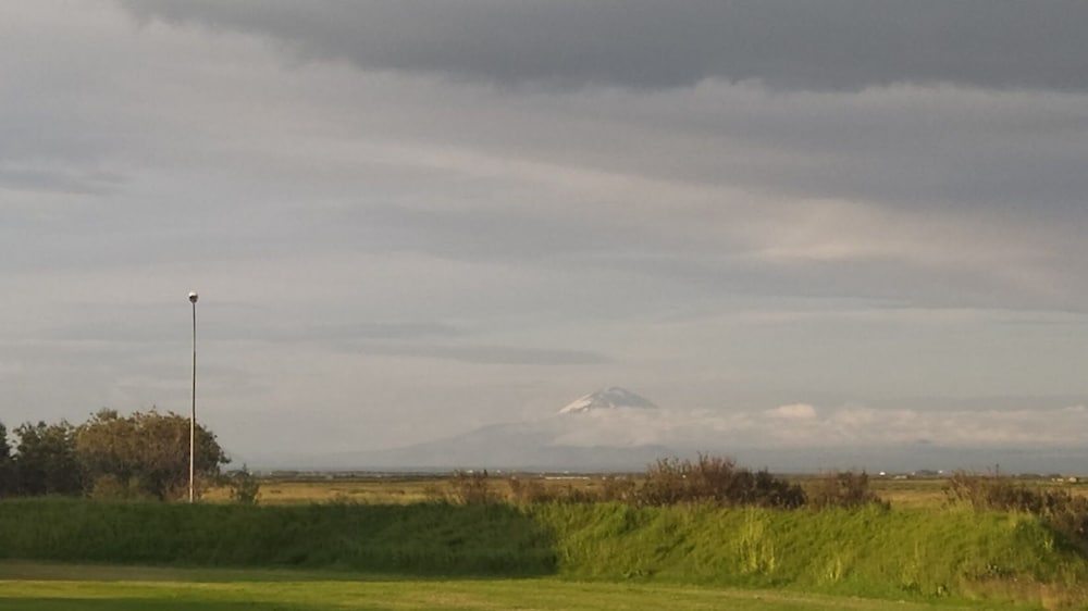 Фото Guesthouse Hateigi