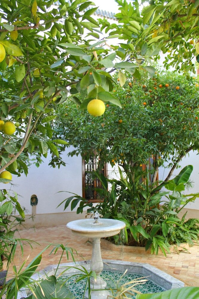 Фото El Morocco Hotel