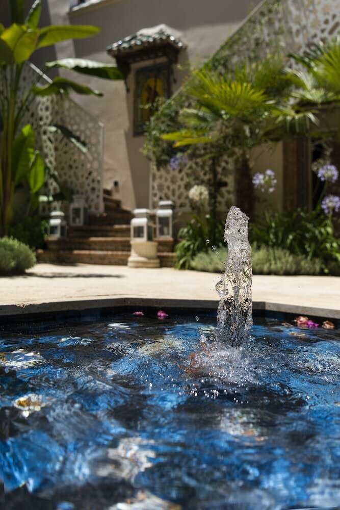 Фото Pájaro Rebelde