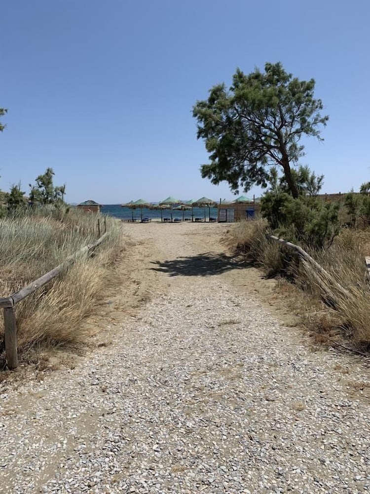 Фото Antique Apartments