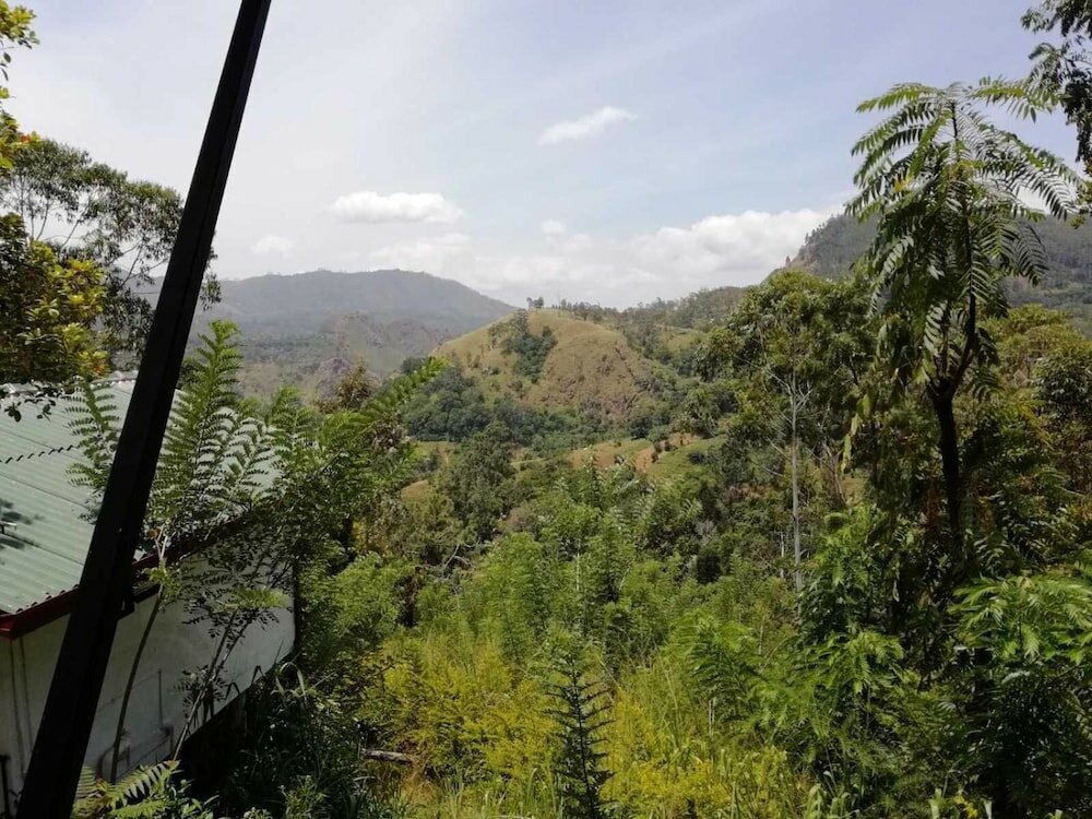 Фото Cloudy Hill Cottage