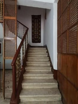 Фото Pharaonic Rose