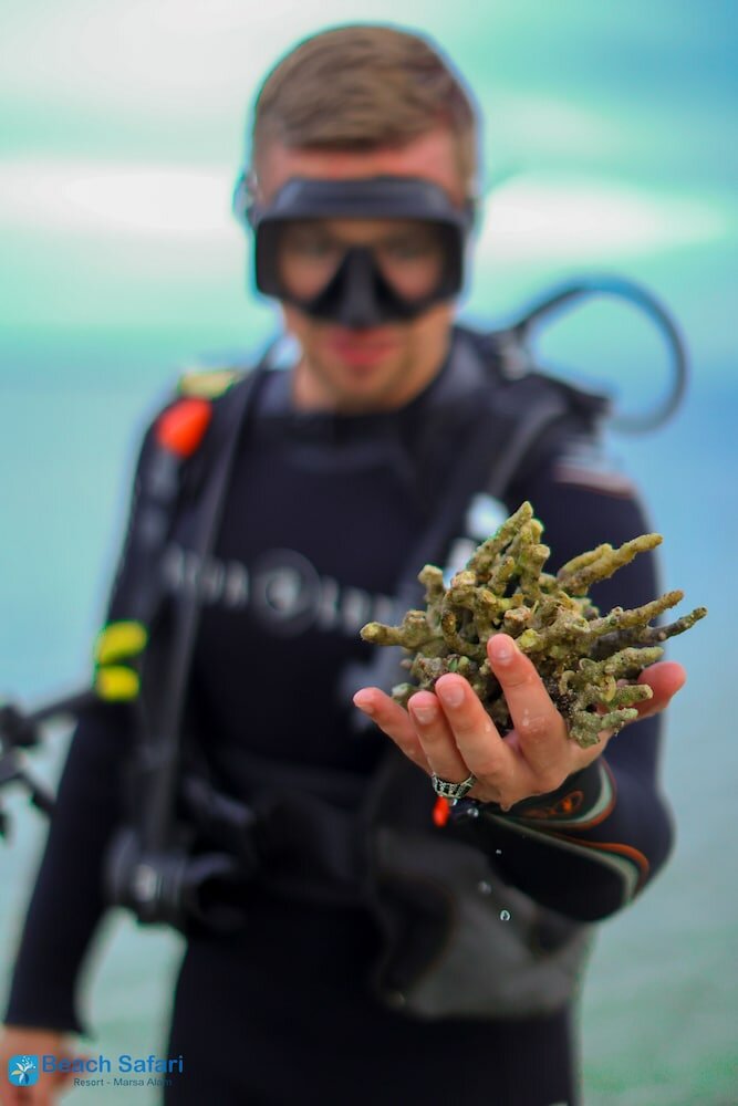 Фото Beach Safari Nubian Resort