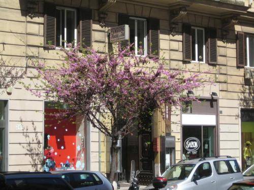 Фото Florida rooms comfort Hotel