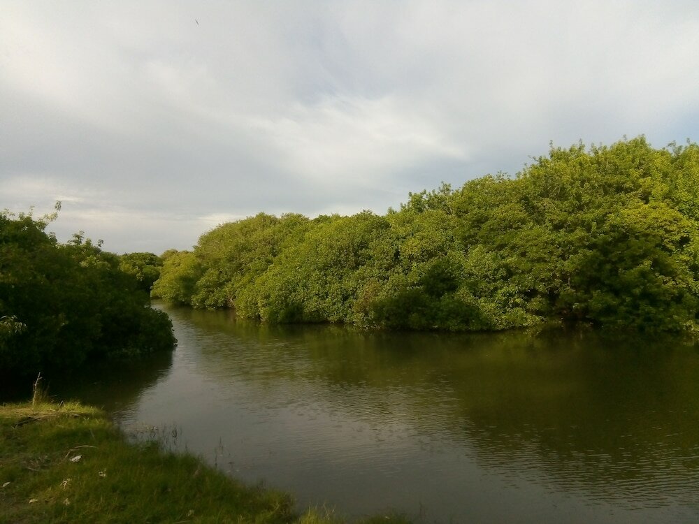 Фото Aqua Front Yala Resort