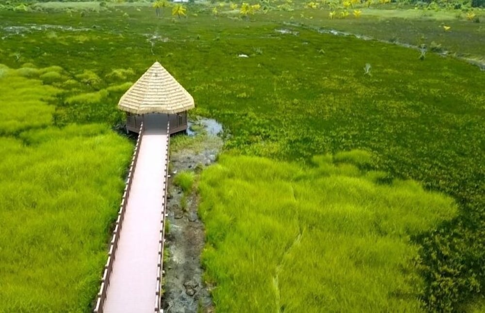 Фото Tiger Shark Residence