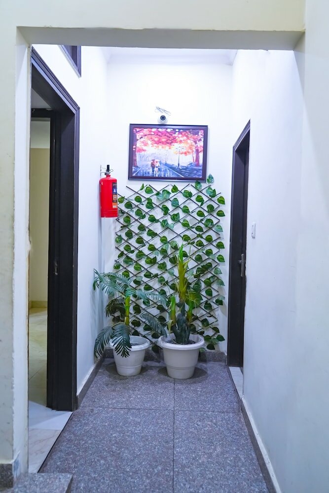 Фото Roomshala 005 Tom & Jerry