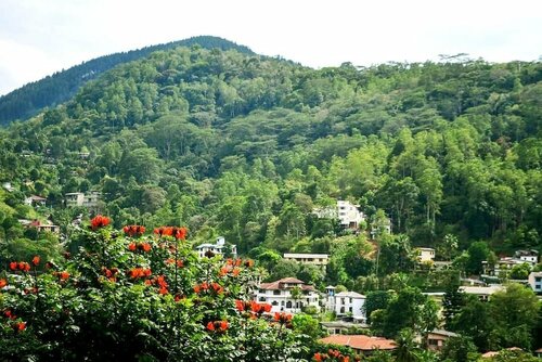 Гостиница Villa Nine Kandy в Канди