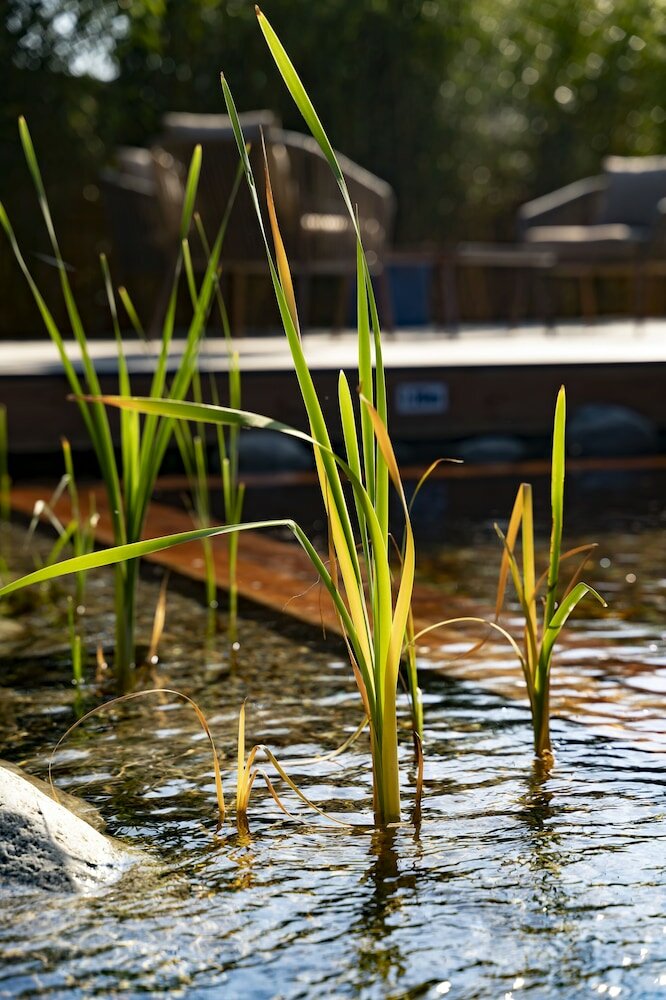 Фото Hotel Le 25