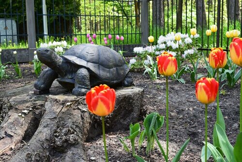 Гостиница Amber Sea Hotel & SPA в Юрмале