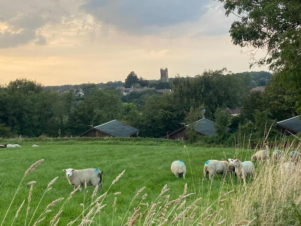 Фото Hollybush Lodges