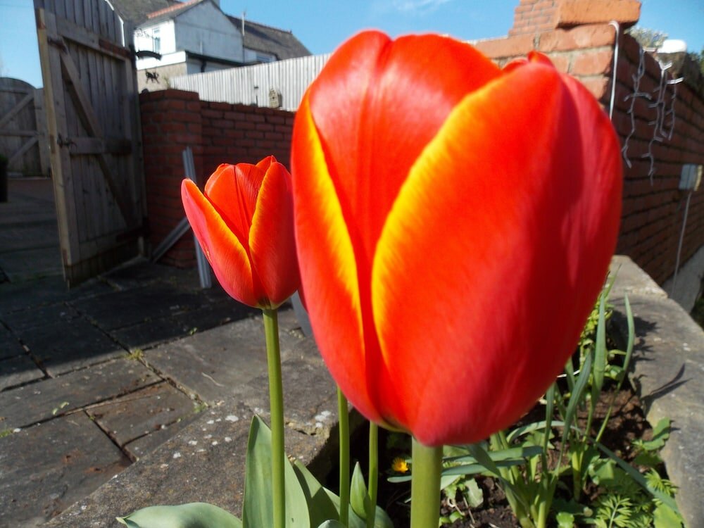 Фото Craig Eithin B & B Holyhead