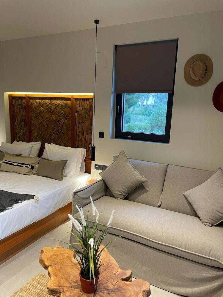 Фото Mola Papaya