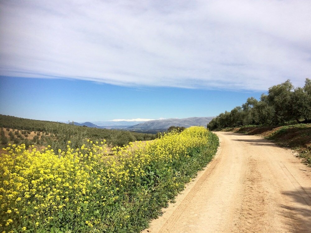 Фото Casa Valle de Oro