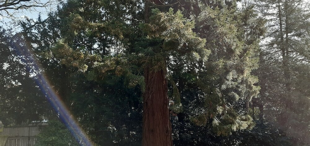 Фото Garfits lodge