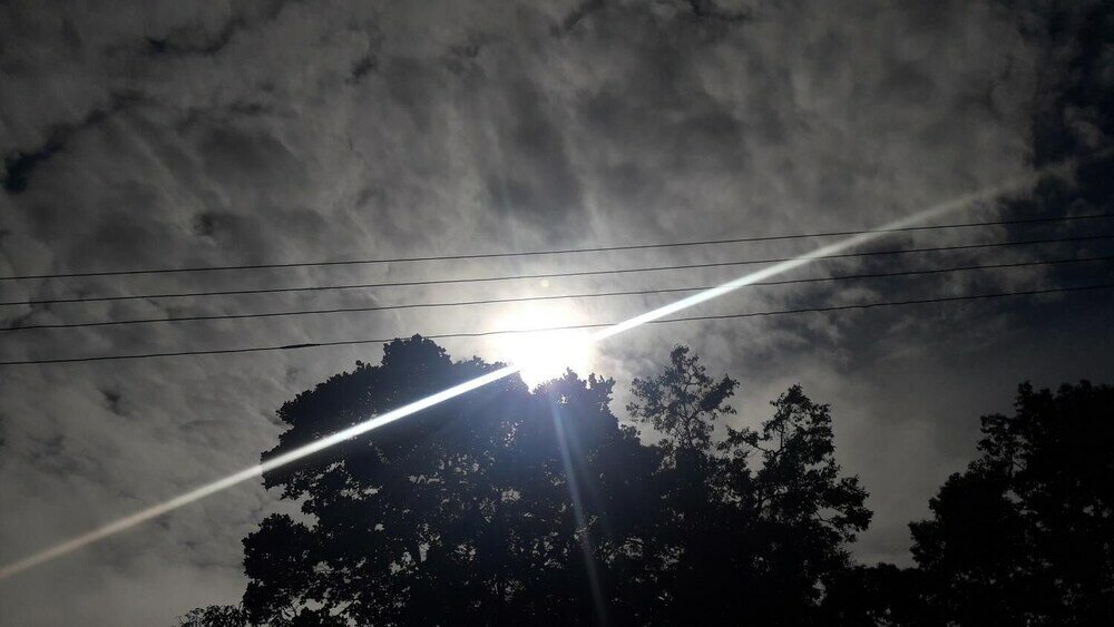 Фото Nature Life Guest Inn