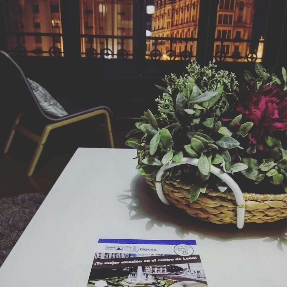 Фото Zentric Hostel