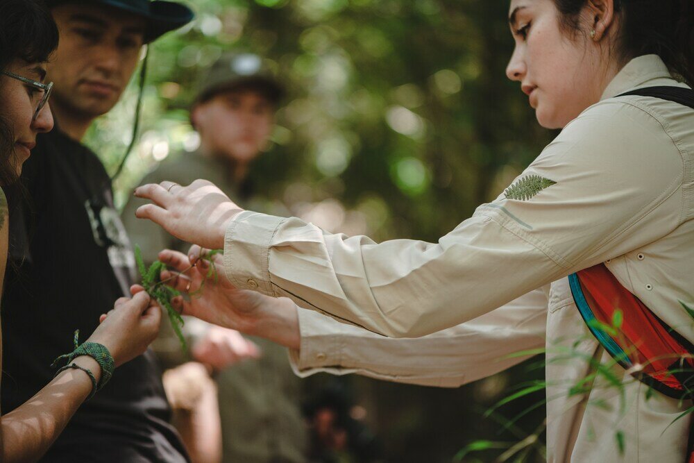 Фото Hotel Parque Tepuhueico