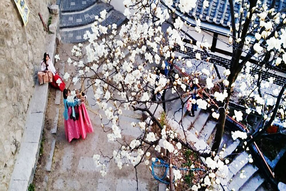 Фото Samcheongdong Korea Guest House