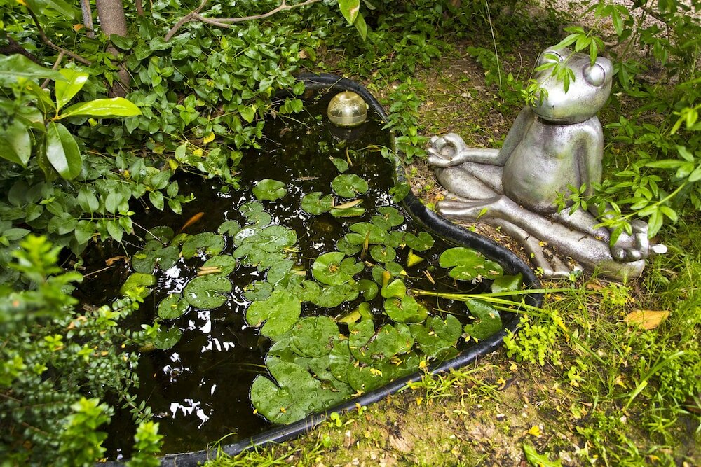 Фото Apartments Silver Tree