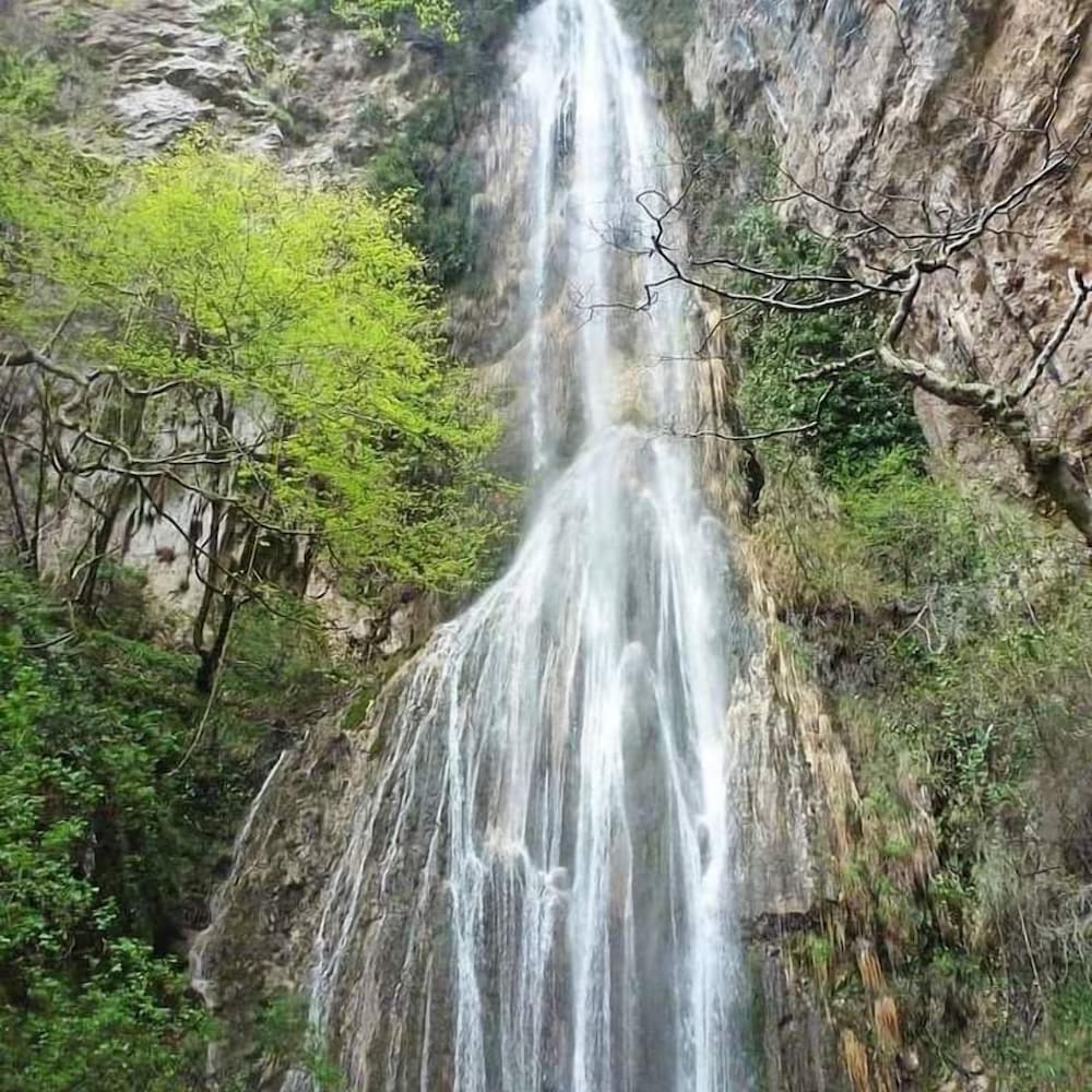 Фото Palazzo Pascal