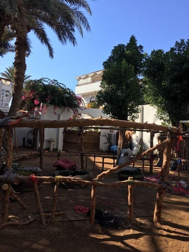 Фото Sunrise Dahab Camp