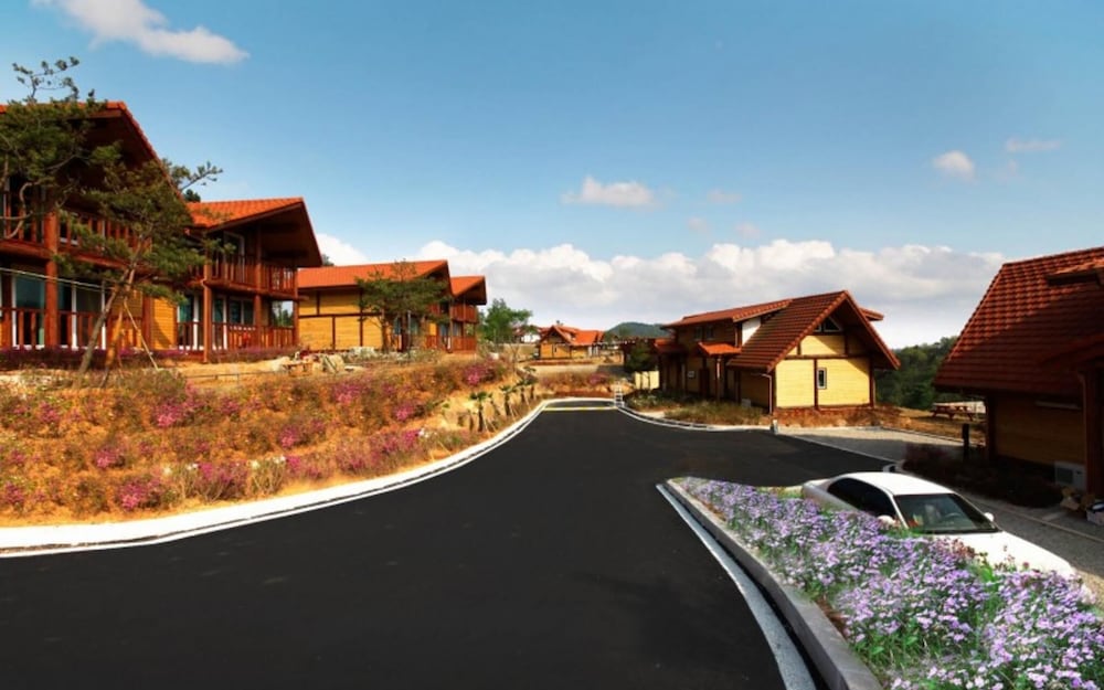 Фото Boseong Boseong Green Tea Resort