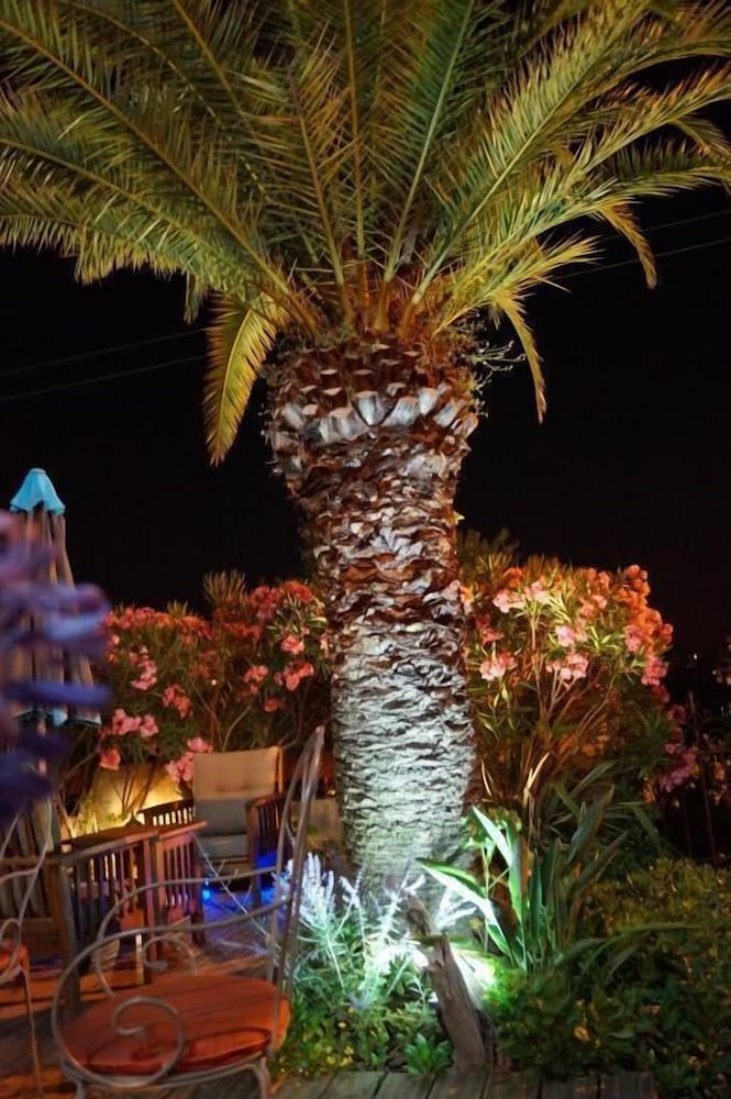 Фото Villa Florida