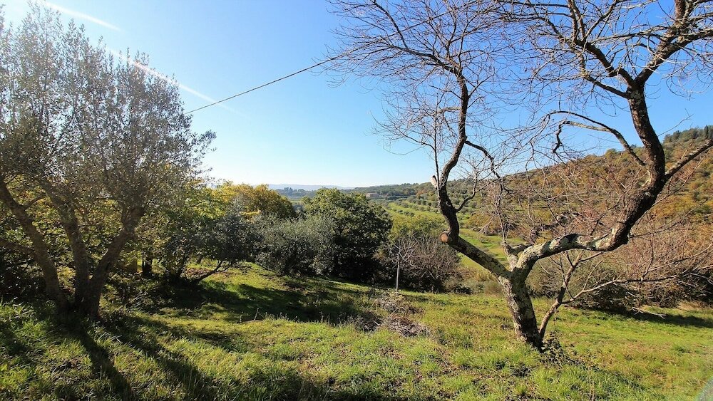 Фото Il Mulino delle Canutole