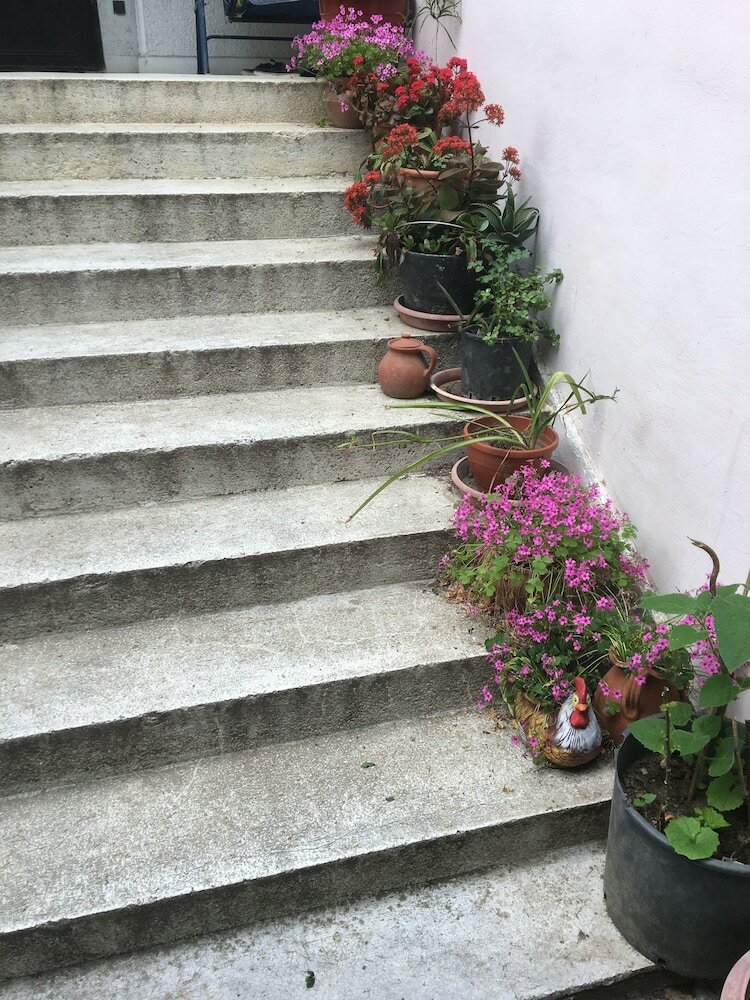 Фото Hair of the Dog Hostel