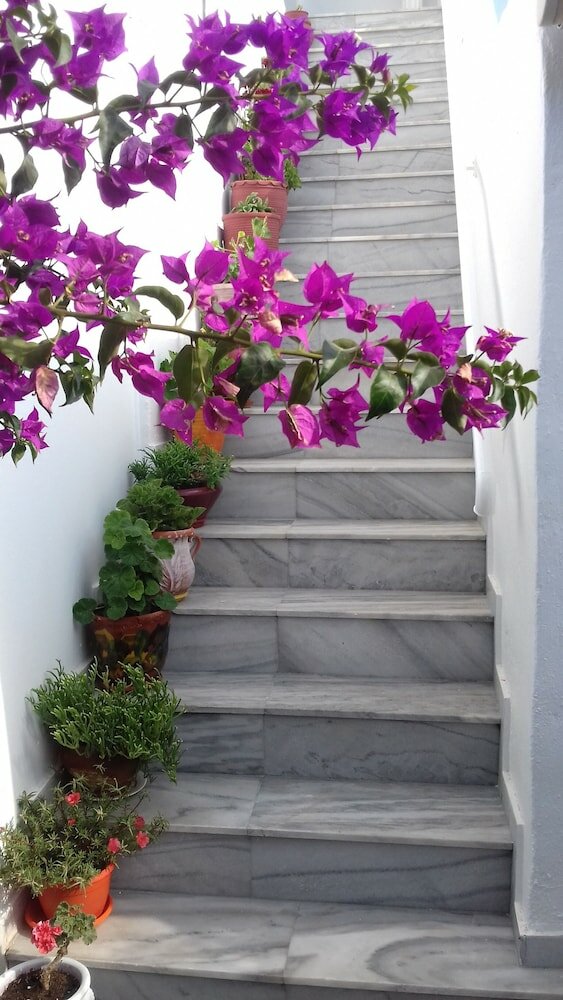 Фото Ricos Two bedroom House - Naoussa Paros