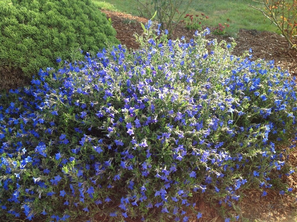 Фото Tyee Lodge Oceanfront B&b