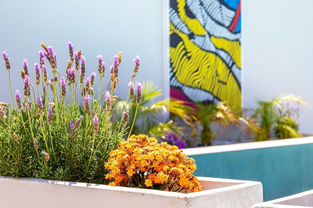 Фото Апарт-Отель Talos Luxury Suites