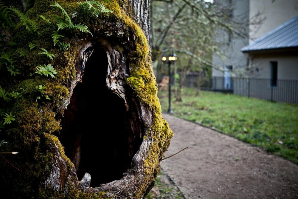 Фото Albergue A Fábrica da Luz - Hostel