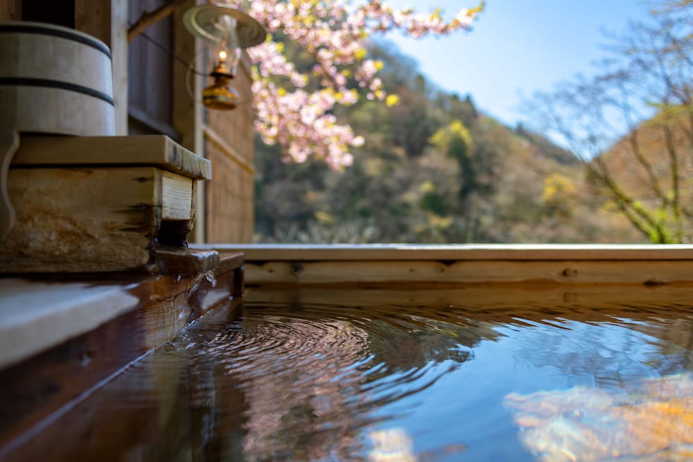 Фото Natsuse Onsen Miyakowasure