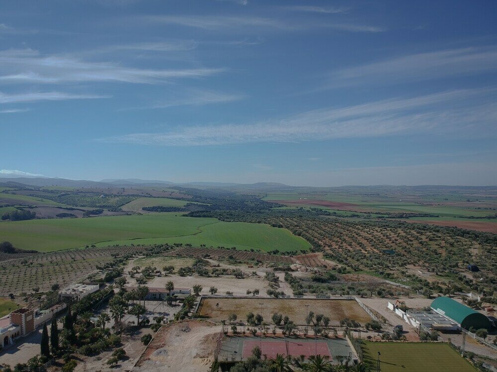 Фото Hacienda El Rosalejo