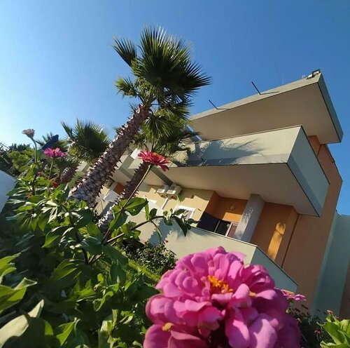 Гостиница Hotel Jaho