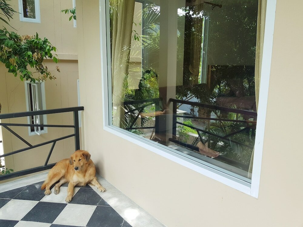 Фото Sea Breeze Resort