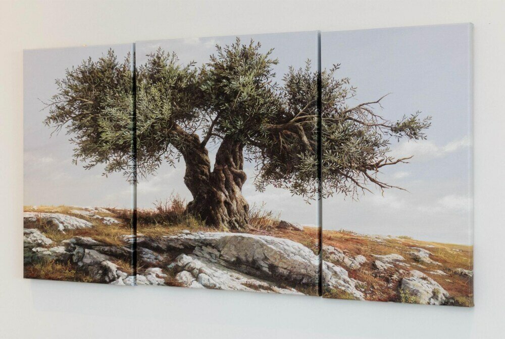 Фото Xenios Dias Apartments