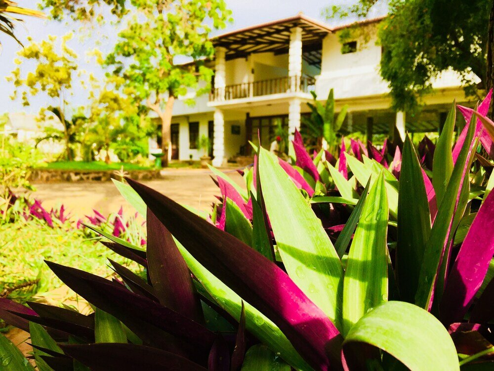 Фото Saman Resort