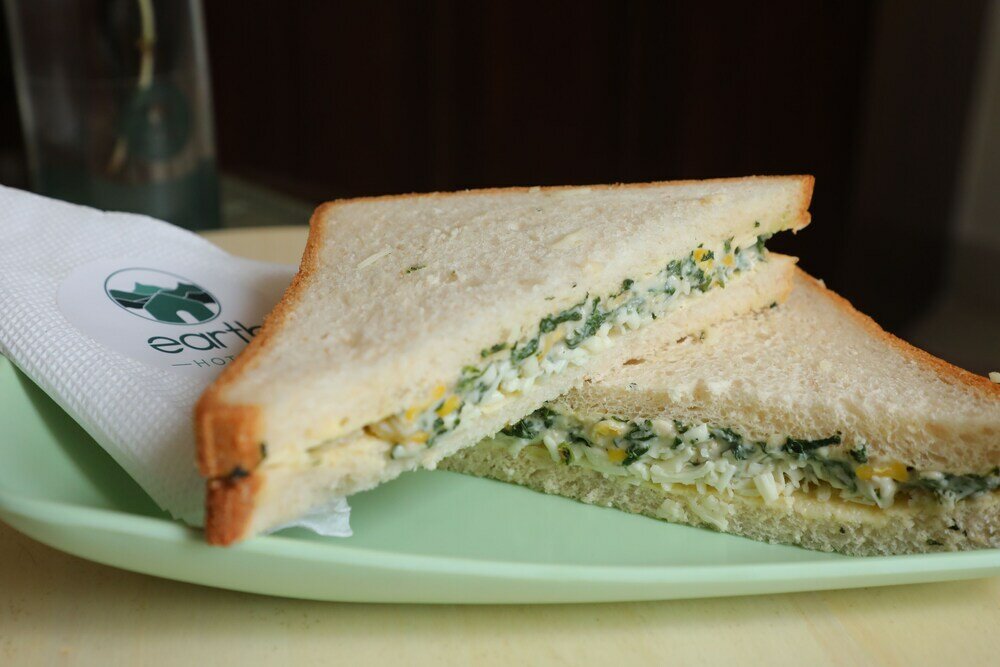 Фото Earth Hotels